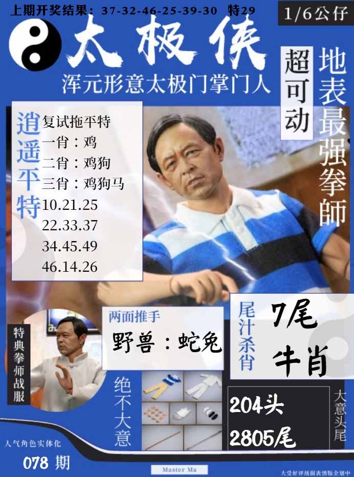 078期太极侠[图]